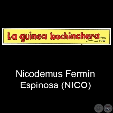 LA GUINEA BOCHINCHERA - Historieta Infantil - Por NICO  Nicodemus Fermn Espinosa - Ao 2020